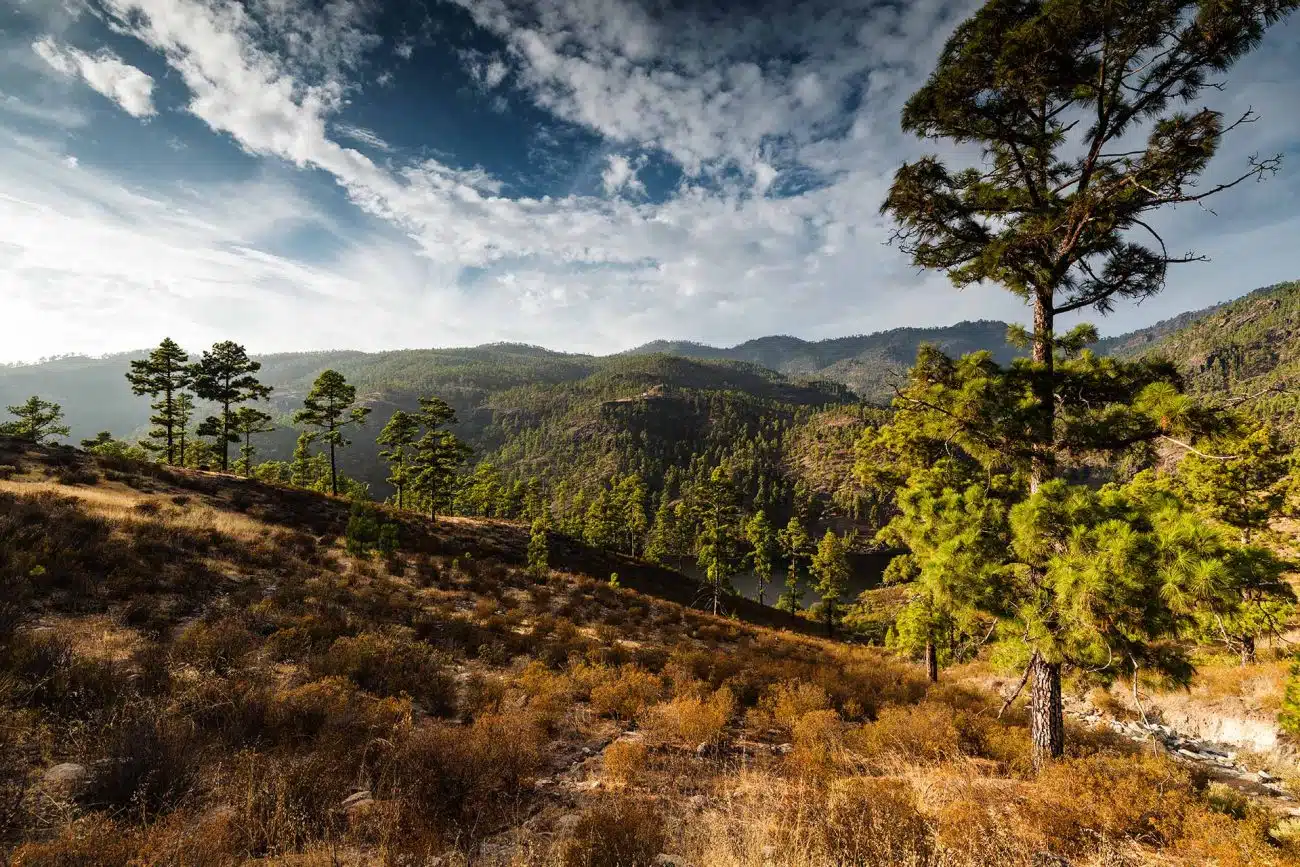 Awesome Gran Canaria CGI Backplate Mountain