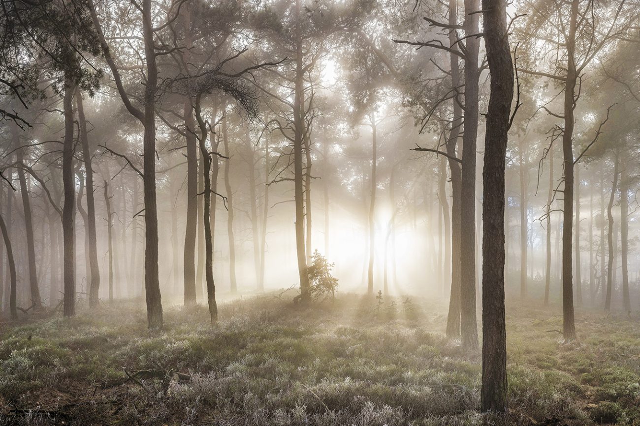 Beautiful landscape photography photography