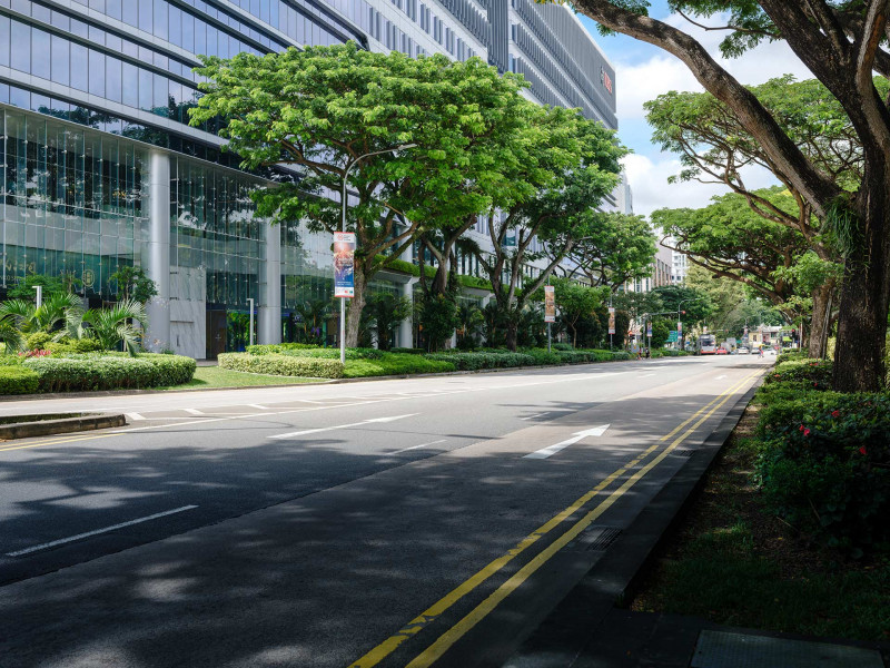 Singapore green city